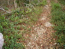 dsc00546